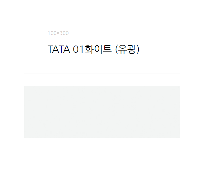 TATA 01화이트 100*300각/유광/33장